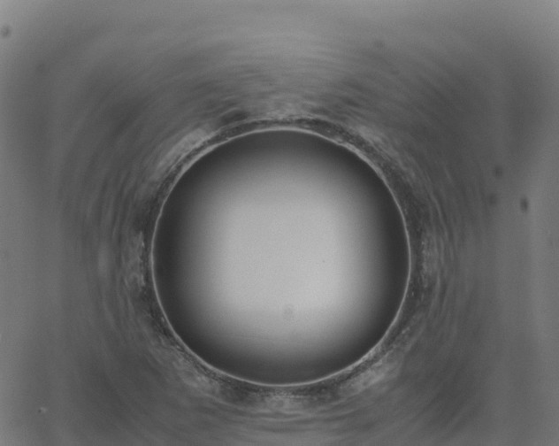 X0000062671265200512230937