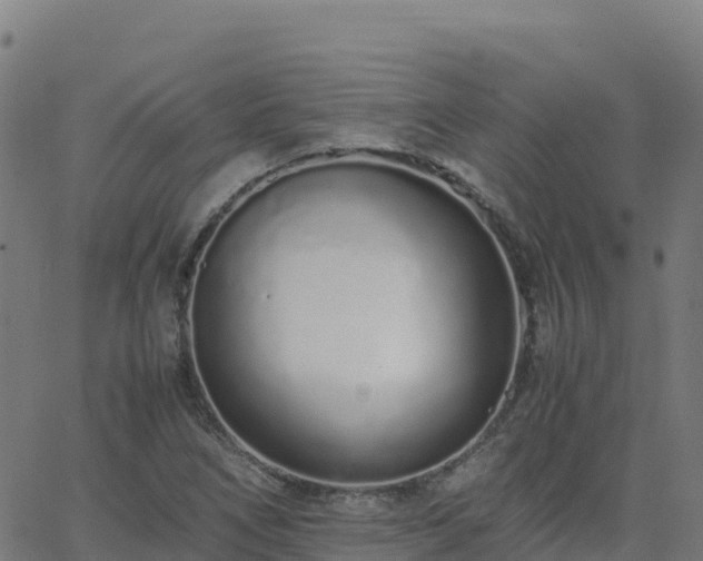 X0000062671266200512230937