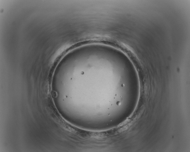 X0000062671267200512230937