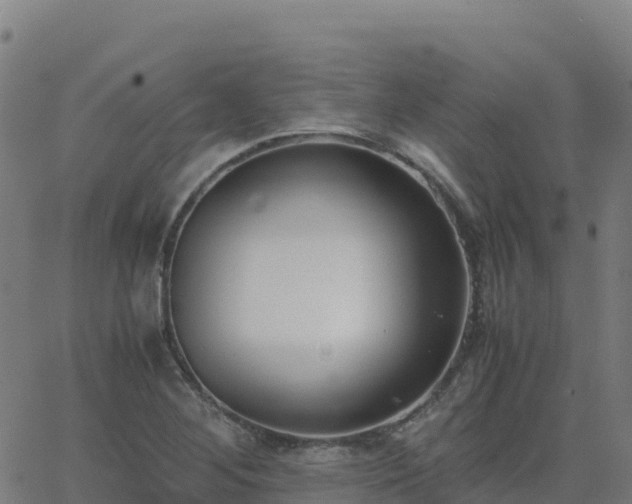 X0000062671268200512230937