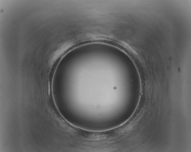 X0000062671269200512230937