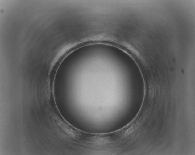 X0000062671270200512230937