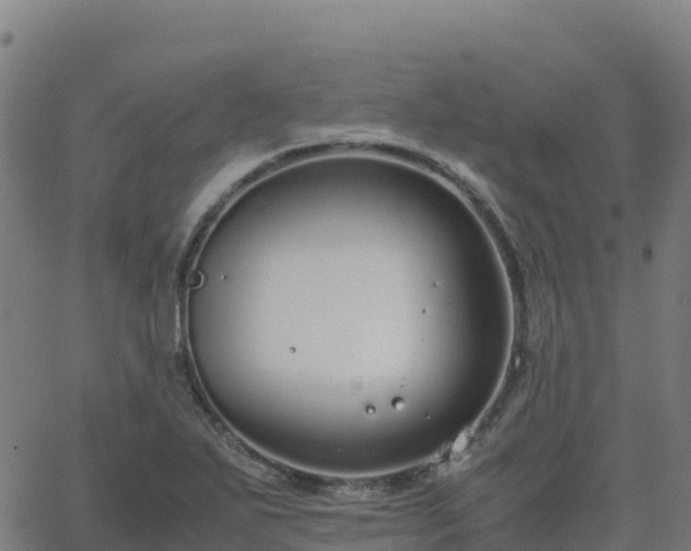 X0000062671271200512230937