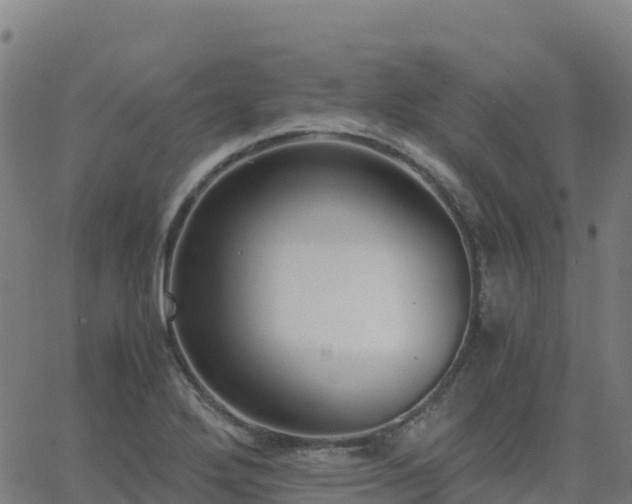 X0000062671272200512230937