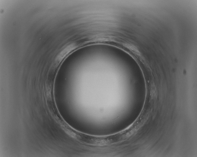 X0000062671273200512230937