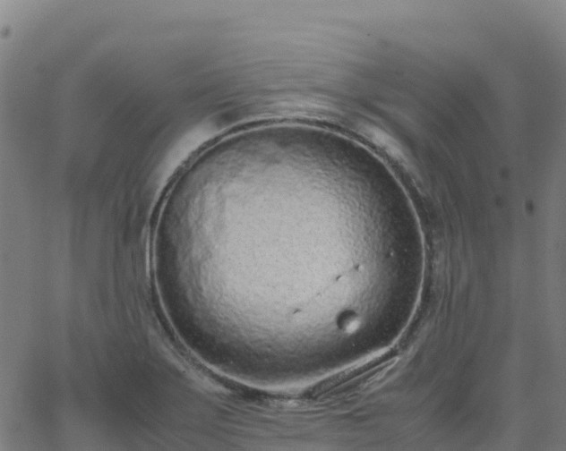 X0000062671275200512230937