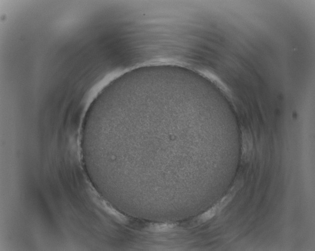 X0000062671278200512230937