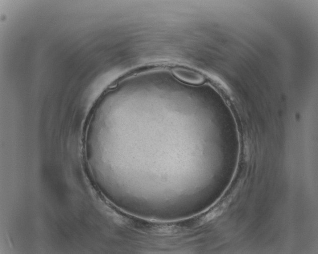 X0000062671279200512230937