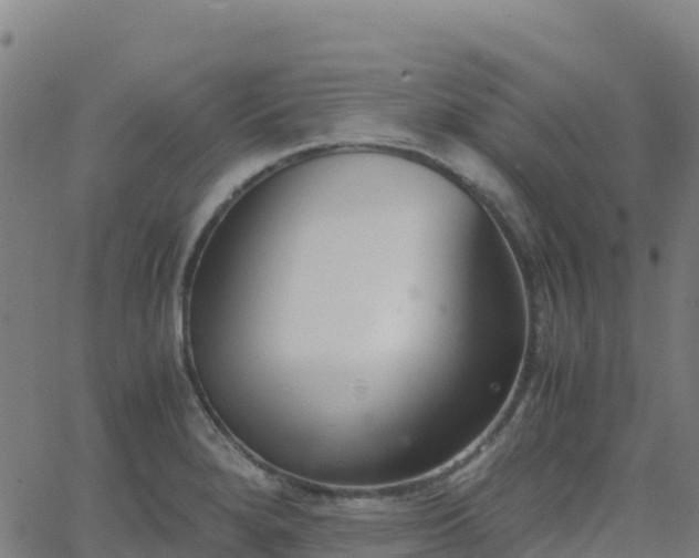 X0000062671280200512230937