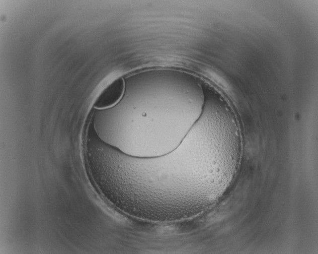 X0000062671283200512230937