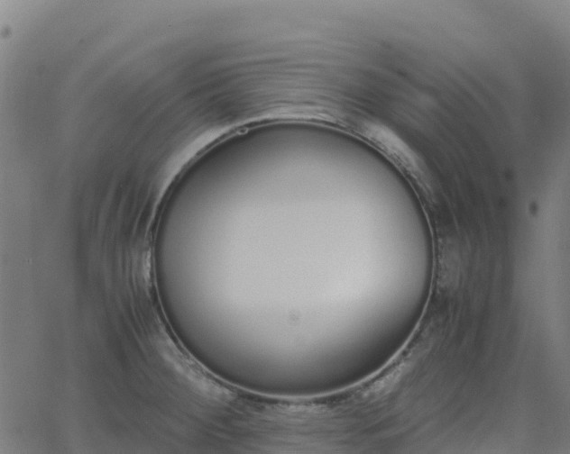 X0000062671284200512230937