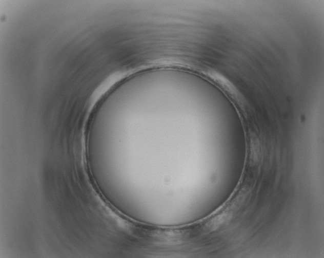 X0000062671286200512230937