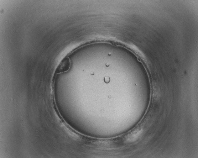 X0000062671287200512230937