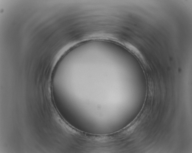 X0000062671288200512230937