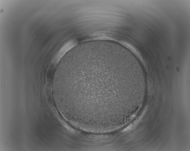 X0000062671289200512230937