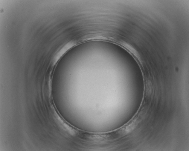 X0000062671290200512230937