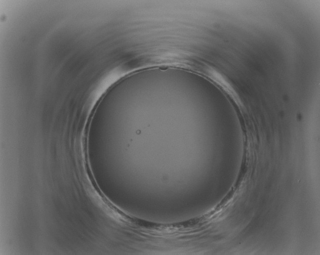 X0000062671291200512230937