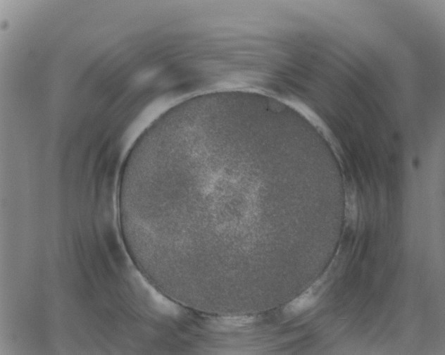 X0000062671294200512230937