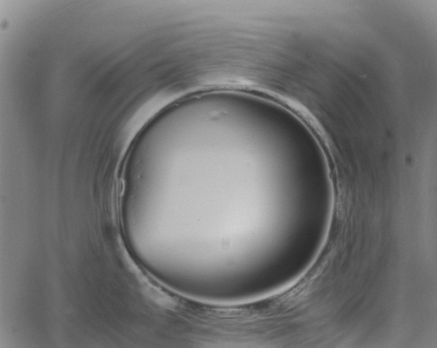 X0000062671295200512230937