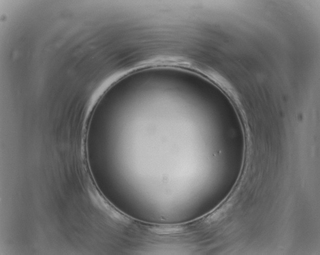 X0000062671296200512230937