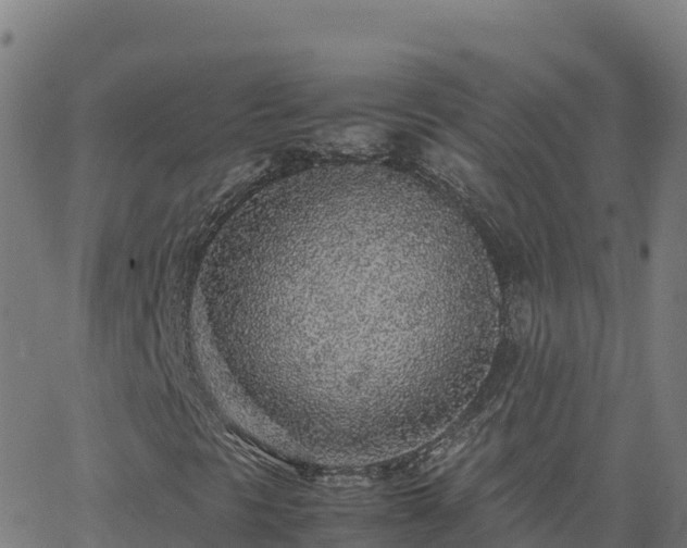 X0000062671297200512230936