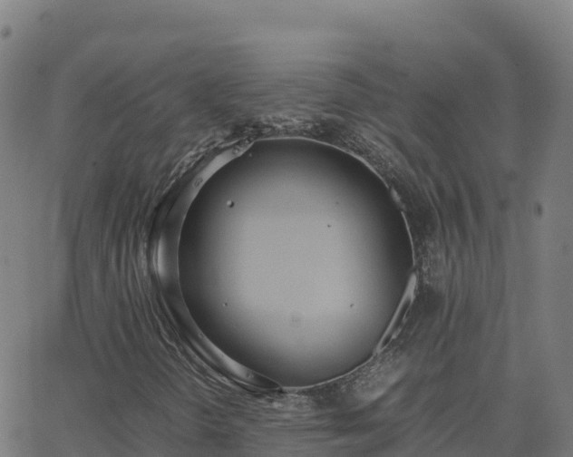 X0000062671298200512230936