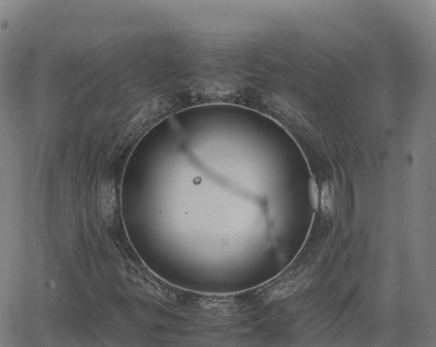 X0000062671299200512230936