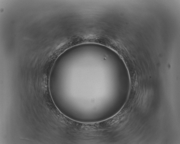 X0000062671301200512230936