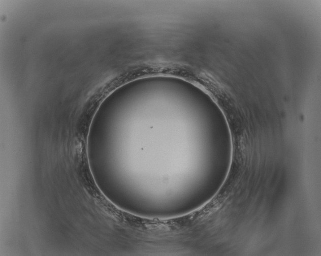 X0000062671302200512230936