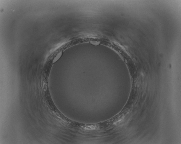 X0000062671303200512230936