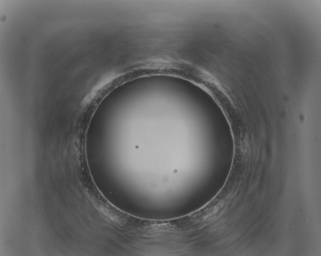 X0000062671304200512230936