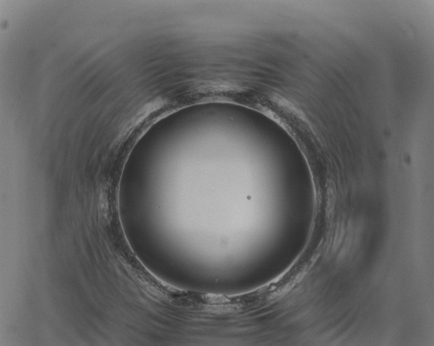 X0000062671305200512230936