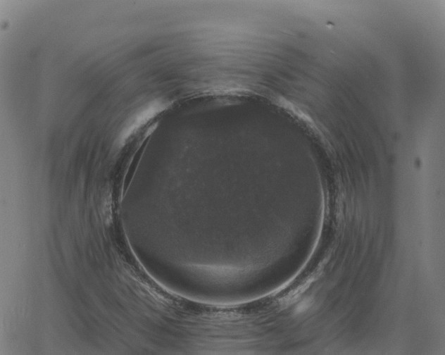 X0000062671306200512230936