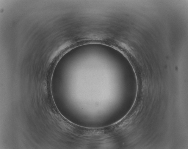 X0000062671307200512230936