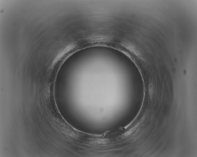 X0000062671309200512230936