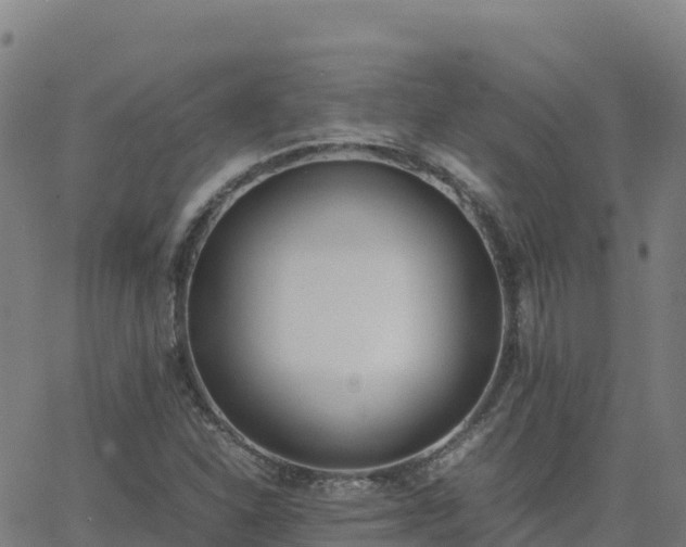 X0000062671310200512230936