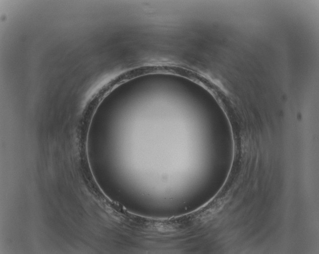 X0000062671311200512230936