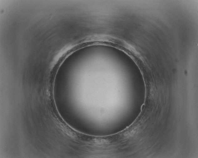 X0000062671312200512230936