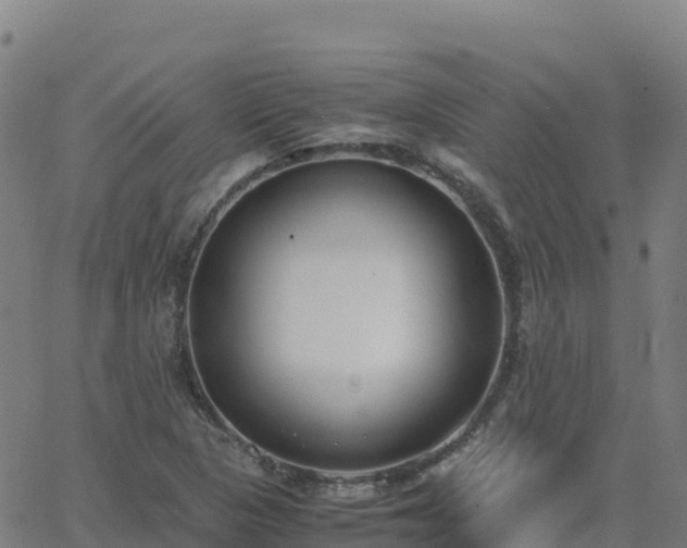 X0000062671313200512230936