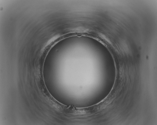 X0000062671315200512230936