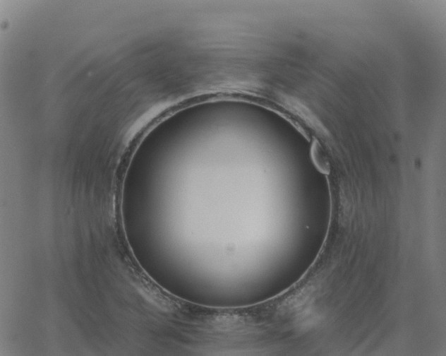 X0000062671316200512230936