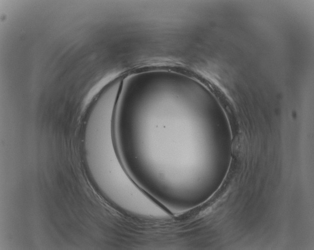 X0000062671317200512230937