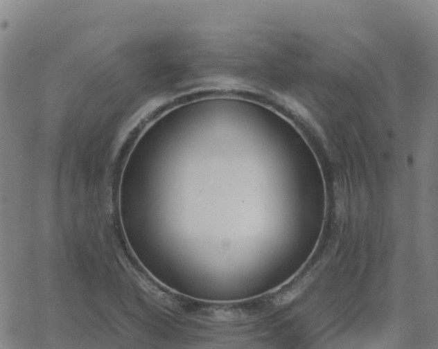 X0000062671318200512230937