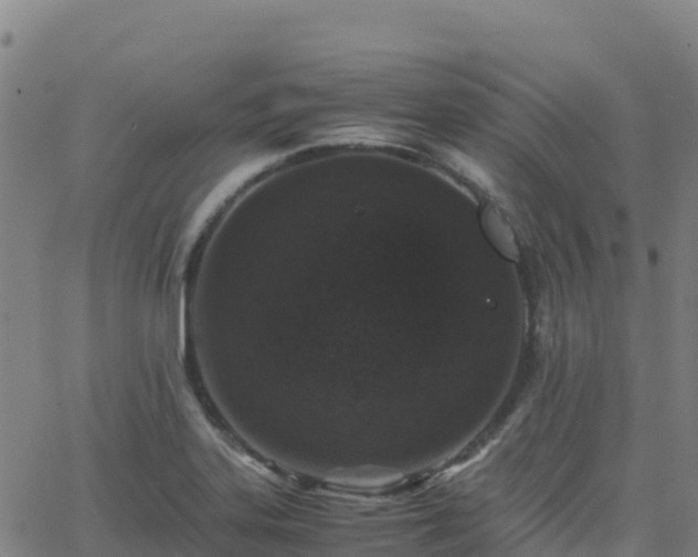 X0000062671323200512230937