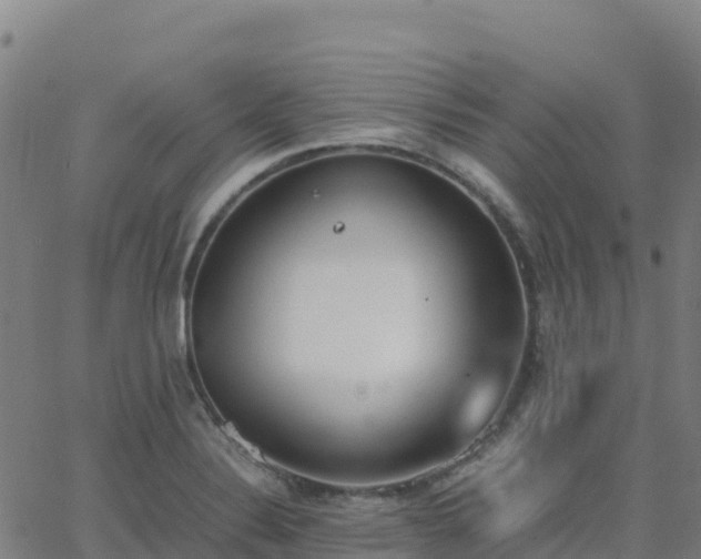 X0000062671324200512230937