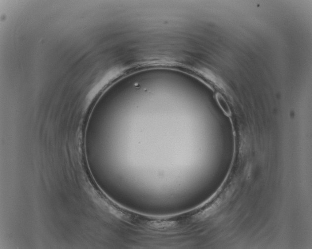 X0000062671325200512230937