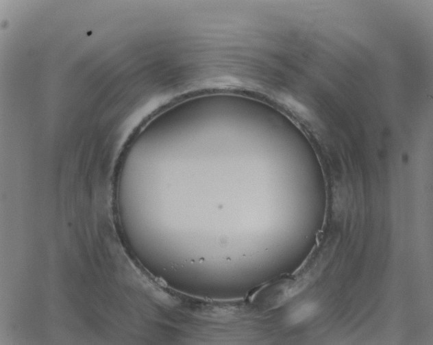 X0000062671326200512230937