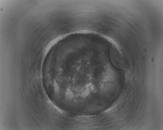 X0000062671327200512230937