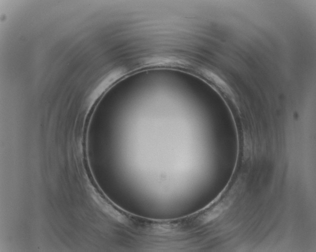 X0000062671330200512230937