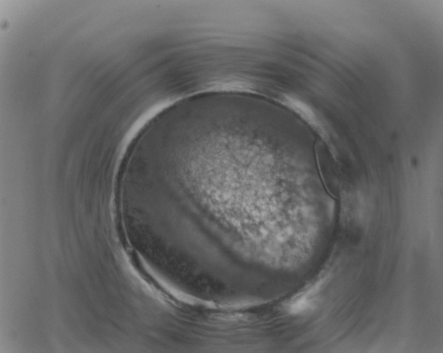 X0000062671331200512230937